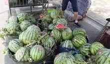 砀山最新吃瓜爆料事件真相,揭秘背后真相，还原事件全貌