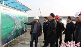 成都副区长爆料新闻最新,揭秘背后惊人真相，城市治理新视角