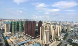 深圳爆料最新,揭秘城市热点事件背后的真相