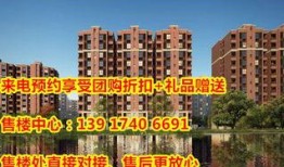 碧桂园爆料最新消息聊城,揭秘未来发展蓝图”